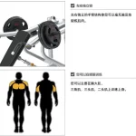 Plate-Loaded Chest Press MF-CP300