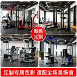 Plate-Loaded Leg Press MF-LP300